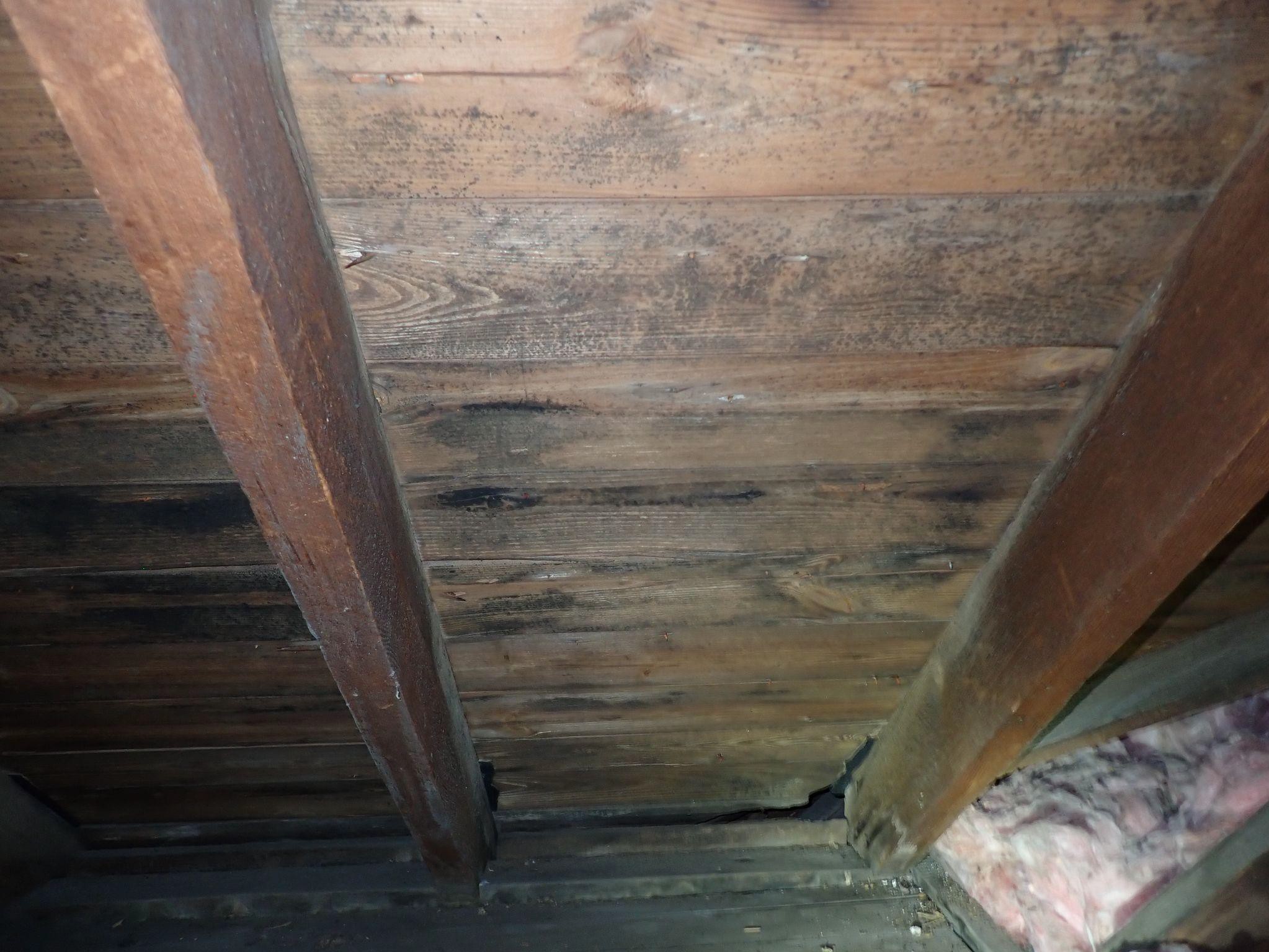 Welcome to the Solid Rock Blog!